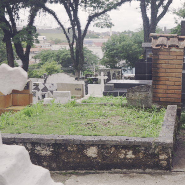 Tras las huellas de Mengele (y sus huesos)