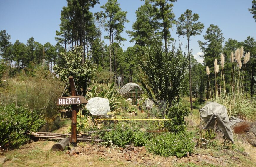 Empresa Nacional de Alimentos