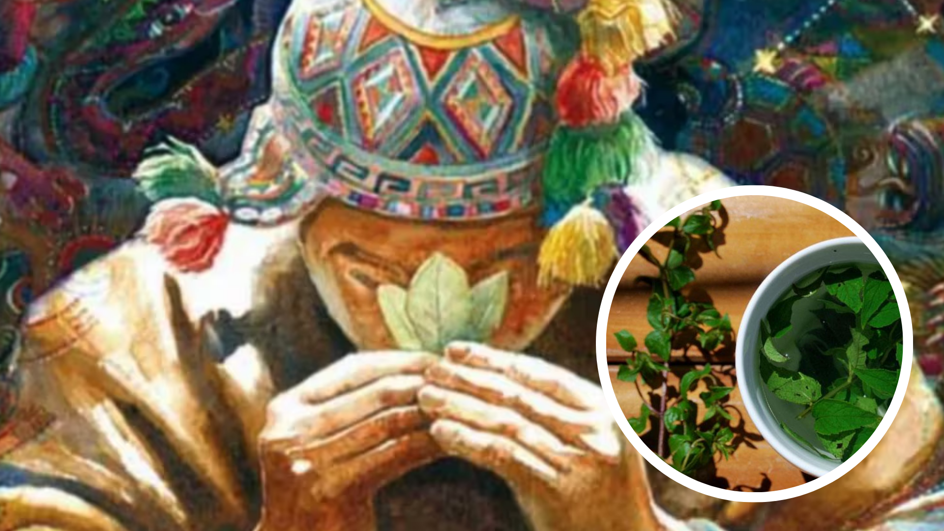 Muña Muña, una mujer, una lugar y una planta mágica