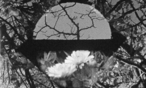 Infinito Super 8, un caleidoscopio de cine y arte