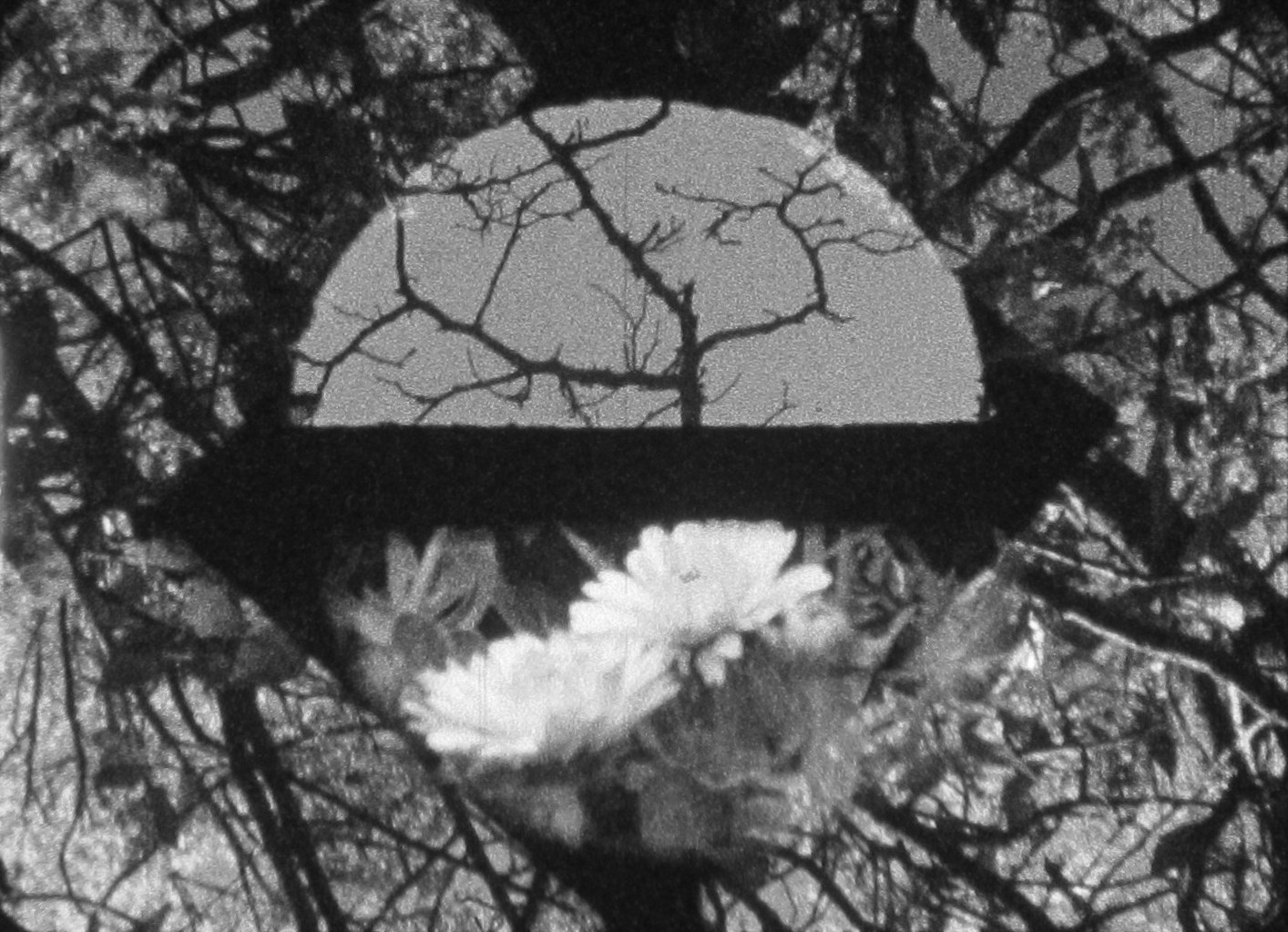 Infinito Super 8, un caleidoscopio de cine y arte