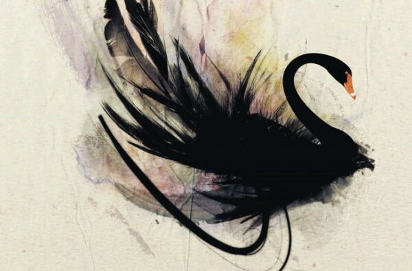 El cisne negro