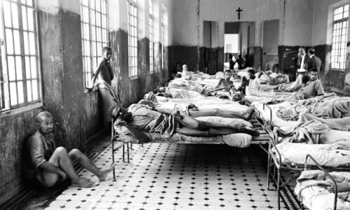 Holocausto Brasileiro