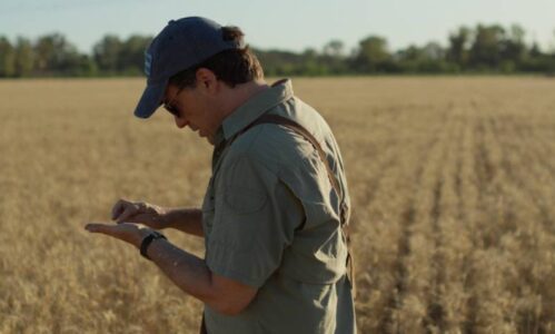 El Agrónomo